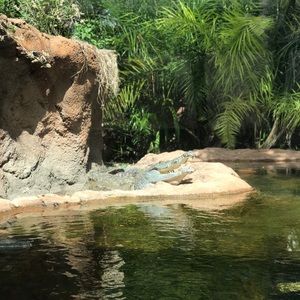 Meet your Posher, Genesis